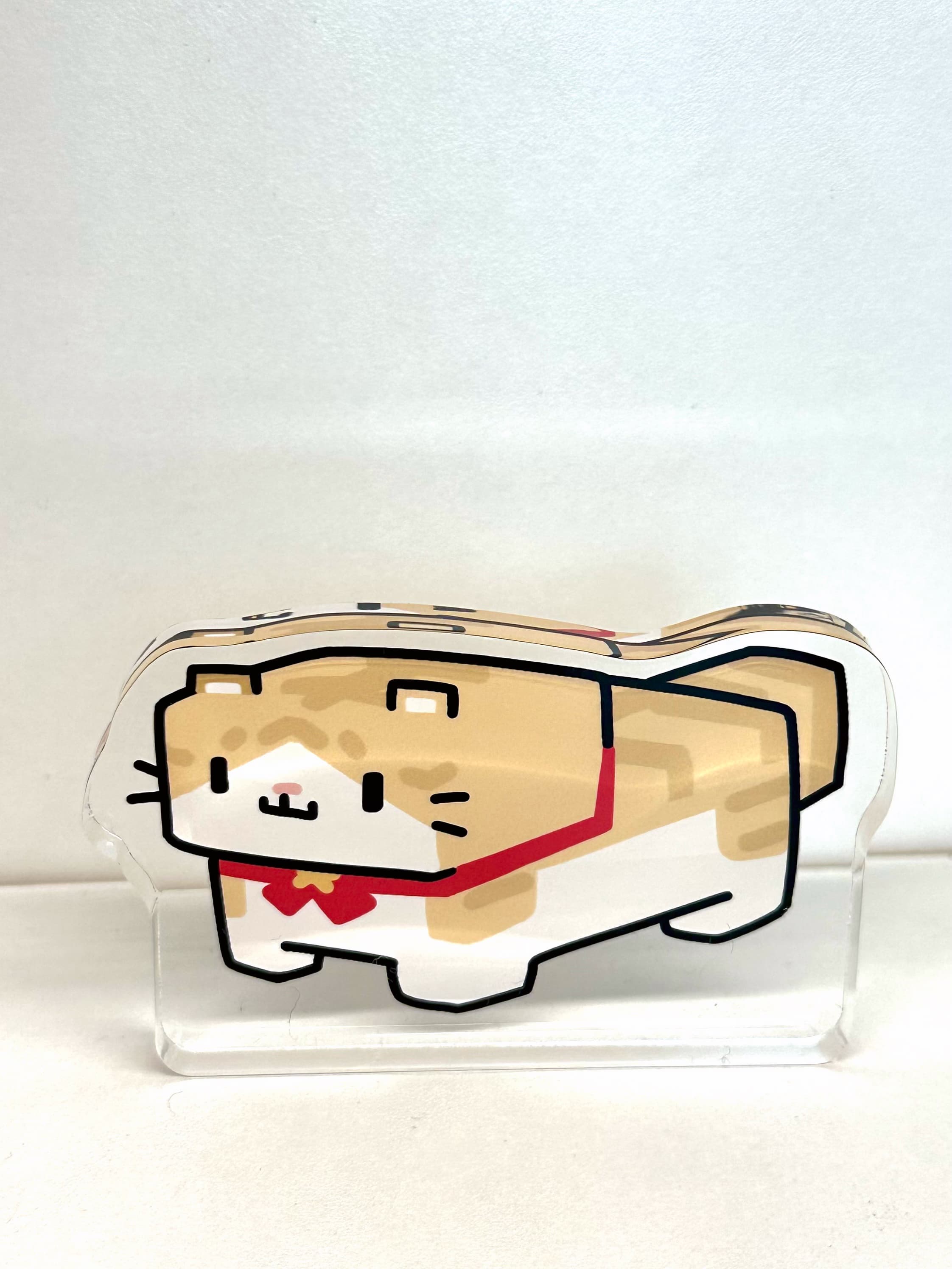 고먐미 코롯토